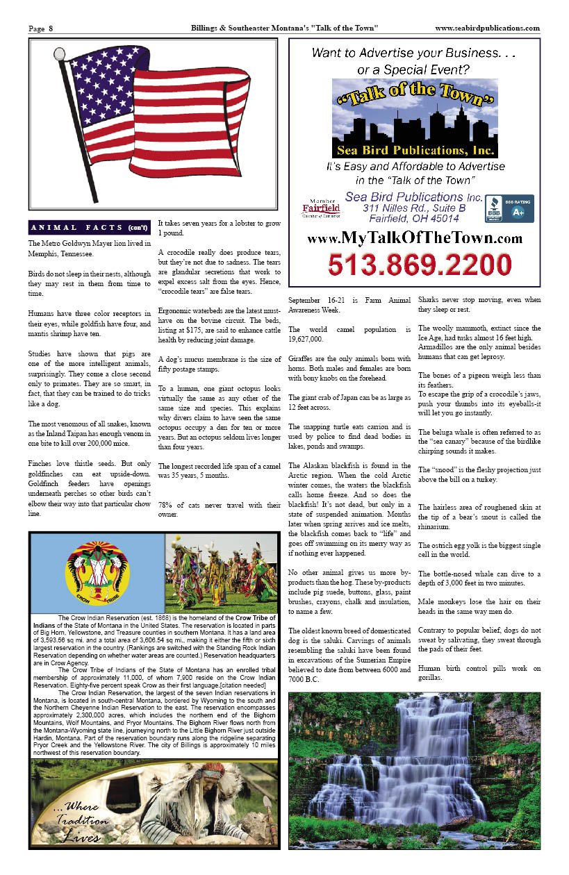 Billings Montana Talk of the Town page 8