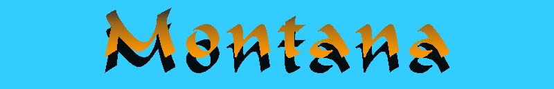 Montana header